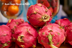Buah Naga Merah vs Putih