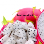 Buah Naga Putih