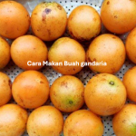 Cara Makan Buah gandaria