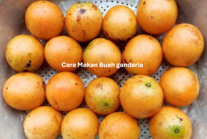 Cara Makan Buah gandaria