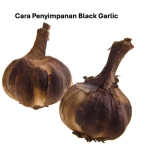 Cara Penyimpanan Black Garlic