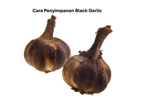 Cara Penyimpanan Black Garlic