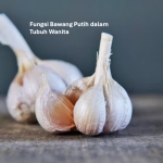 Fungsi Bawang Putih dalam Tubuh Wanita