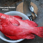 Jenis Ikan yang Rendah Protein