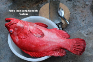 Jenis Ikan yang Rendah Protein