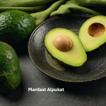 Manfaat Alpukat