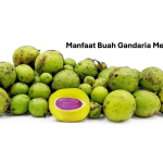 Manfaat Buah Gandaria Mentah