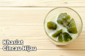 Manfaat Cincau Hijau