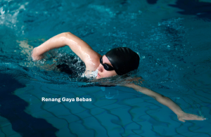 Renang Gaya Bebas