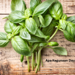 Daun Basil