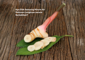 Efek Samping Minum Air Rebusan Lengkuas