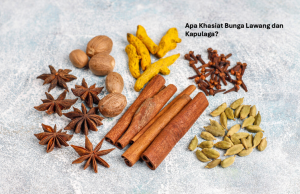 Khasiat Bunga Lawang dan Kapulaga