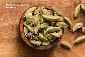 Manfaat Kapulaga
