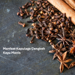 Manfaat Kapulaga Cengkeh Kayu Manis