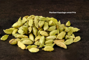 Manfaat Kapulaga untuk Pria