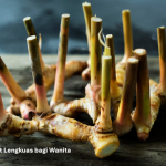 Manfaat Lengkuas bagi Wanita