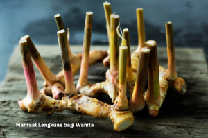 Manfaat Lengkuas bagi Wanita
