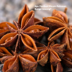 Manfaat Minum Rebusan Bunga Lawang