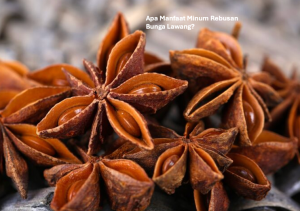 Manfaat Minum Rebusan Bunga Lawang