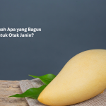 Buah Apa yang Bagus untuk Otak Janin
