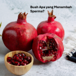 Buah Apa yang Menambah Sperma