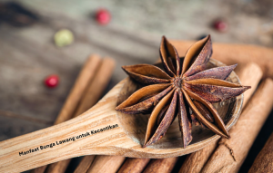 Bunga Lawang untuk Kecantikan