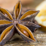 Efek Samping dan Bahaya Bunga Lawang