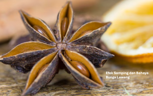 Efek Samping dan Bahaya Bunga Lawang