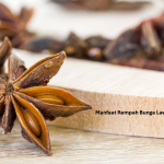 Manfaat Rempah Bunga Lawang