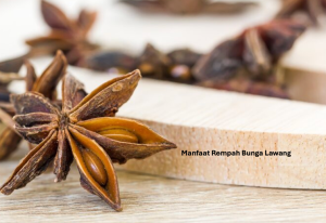 Manfaat Rempah Bunga Lawang