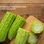 Sayuran Apa yang Paling Ampuh untuk Menurunkan Gula Darah