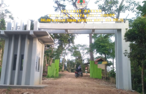 Taman Nasional Bukit Duabelas