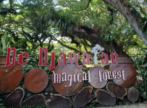 Wisata Banyuwangi Hutan