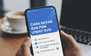 Cara Bayar Gas PGN Lewat OVO