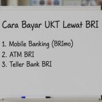 Cara Bayar UKT Lewat BRI