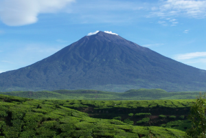 Keunikan Suku Kerinci