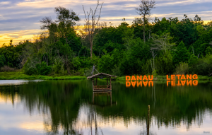 Danau Letang