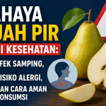 Bahaya Buah Pir