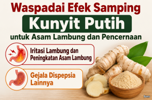 Efek Samping Kunyit Putih untuk Asam Lambung