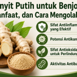Kunyit Putih untuk Benjolan