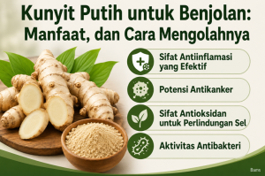 Kunyit Putih untuk Benjolan