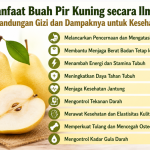 Manfaat Buah Pir Kuning