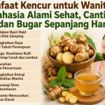 Manfaat Kencur untuk Wanita