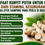 Manfaat Kunyit Putih untuk Pria