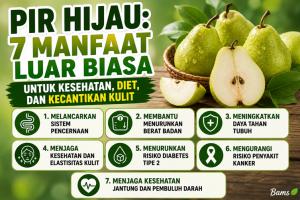 Pir Hijau