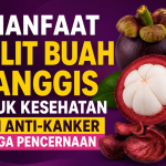 Manfaat Kulit Buah Manggis
