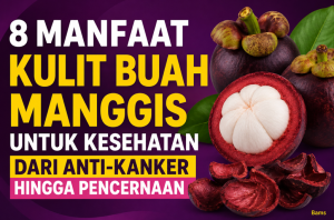 Manfaat Kulit Buah Manggis