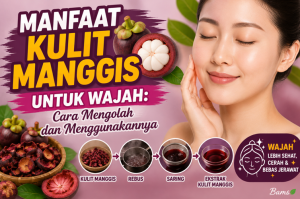 Manfaat Kulit Manggis untuk Wajah