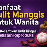 Manfaat Kulit Manggis untuk Wanita