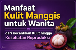 Manfaat Kulit Manggis untuk Wanita
